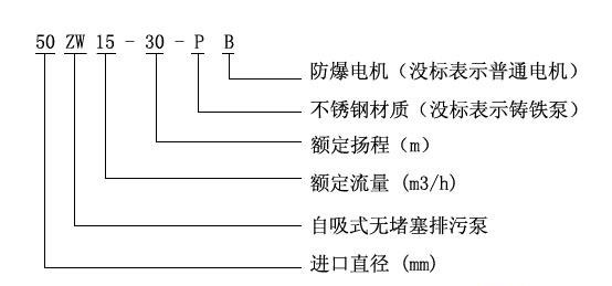 ZW型自吸式無堵塞91麻豆免费在线观看型號意義